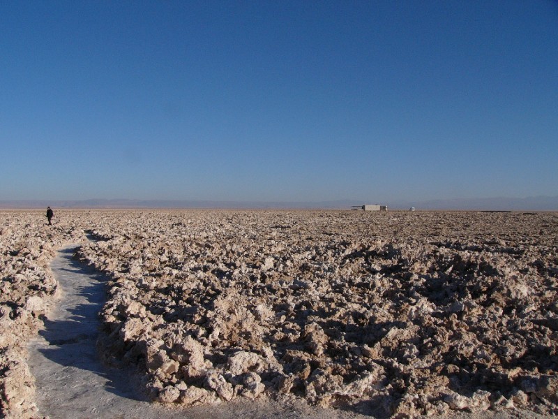 P1080254.JPG - The unending Salt Flats with the walking path carved out of the crystalline salt formations growing out of the infertile land. These crusts are generated by the accumulation of crystals produced by the evoperation of the underground saline waters.