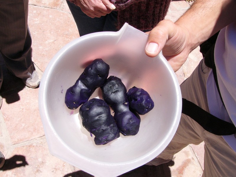 P1080327.JPG - Purple Potatoes at the restaurant.