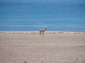 IMG_5516