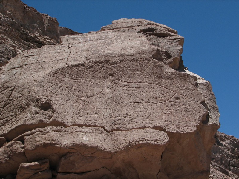 IMG_5681.jpg - A petroglyph near the Pukará de Lasana. Between Chiu-Chiu and Pukará de Lasana, one counts 76 pictographies and petrographies generally representing human beings and llamas. These drawings date from 400 to 1500 AD.
