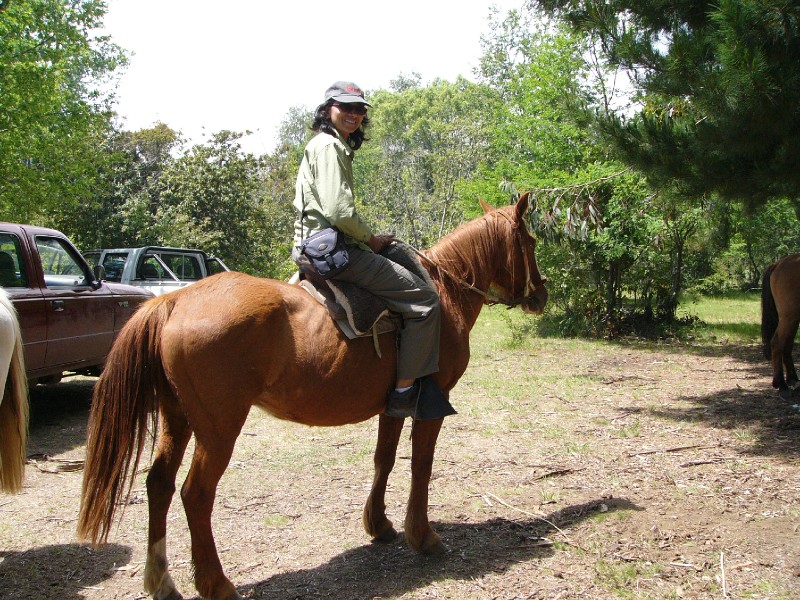 P1080566.JPG - Cabalgatas (horse riding)One of several options for recreation at Pucon. This was a 2 hour ride through the hills to Salto Claro waterfall and back.