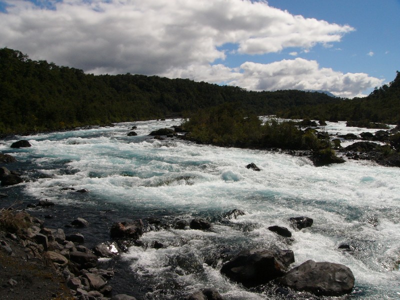 P1080685.JPG - Petrohue Falls (more like a rapidly flowing river rather than a falls)