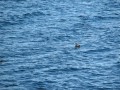 IMG_5982