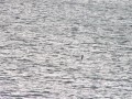 P1080885