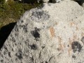 P1090080