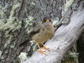 IMG_6259